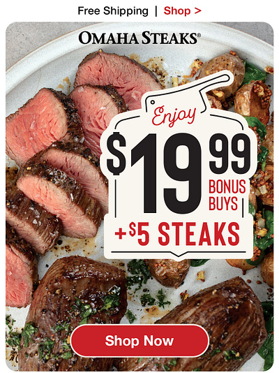 Omaha Steaks Bonus Buys E-Mail design digital e mail graphic marketing photoshop