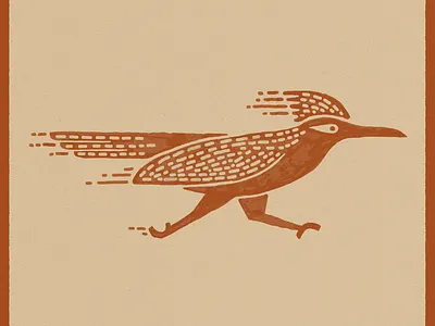 Roadrunner arizona desert fast bird hand drawn illustration meep meep new mexico roadrunner