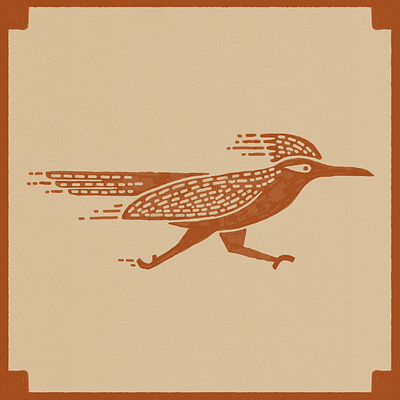 Roadrunner arizona desert fast bird hand drawn illustration meep meep new mexico roadrunner