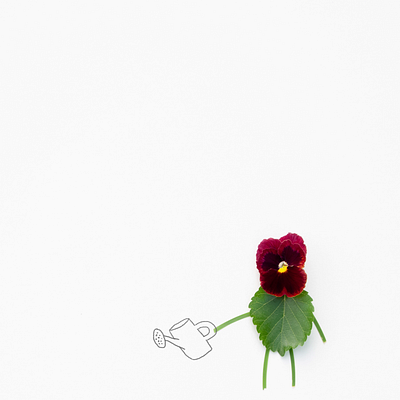 blown away animation floral animation gif stop motion stopmo