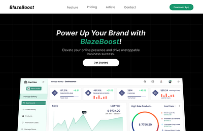 BlazeBoost: Empowering Your Brand with Data-Driven Dashboards