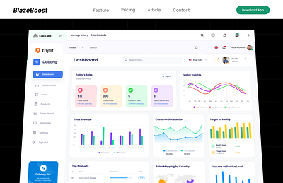 BlazeBoost: Interactive Dashboard for Real-Time Business Insight animation ui