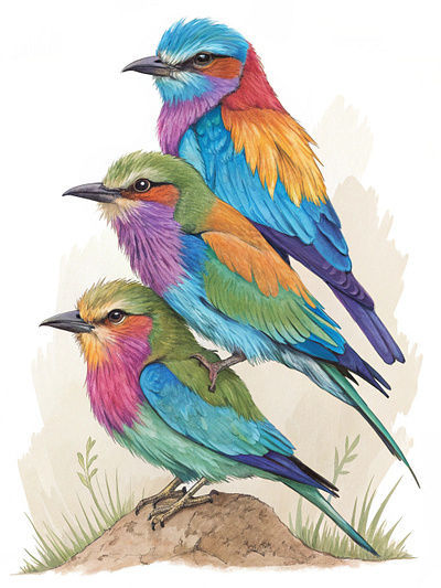 showcases three vibrantly colored birds stacked gracefully design graphic design illustration