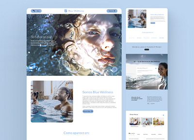 Website Design for Wellness – Holistic Serenity Online branding ui ux webdesign