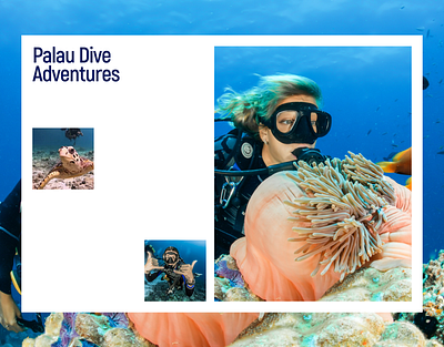 Website Development for a Diving Company landing landing page web design webflow website