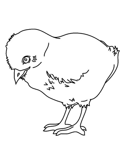 Chick Coloring Pages