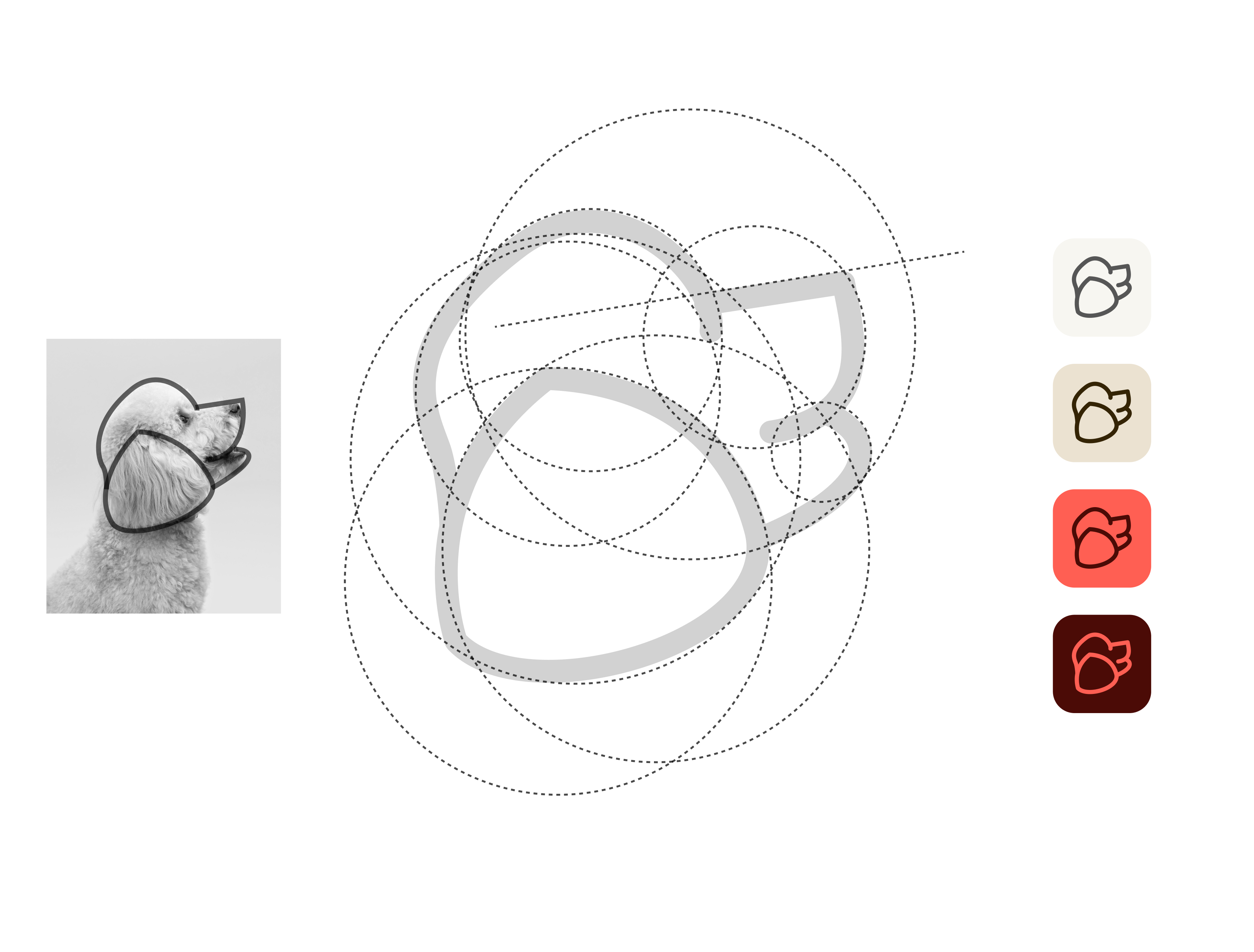 Poodle: logo & brand identity design aero branding agency aero design agency brand design brand identity brandbook branding branding design combination logo design designinspiration dog graphic design logo logodesign logomark minimal pet pet logo petcare redesign