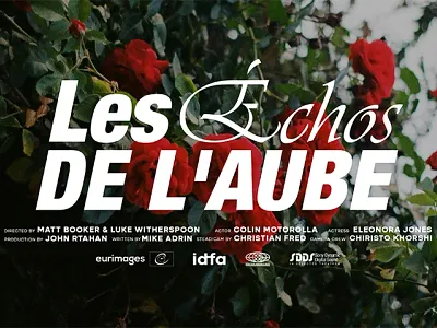 Title Card Designs V.3 design pixflow title typography