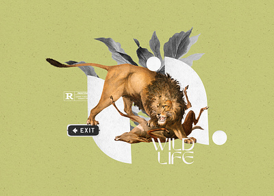 Collage 13 - Wild Life collage design editorial editorial design old photoshop poster