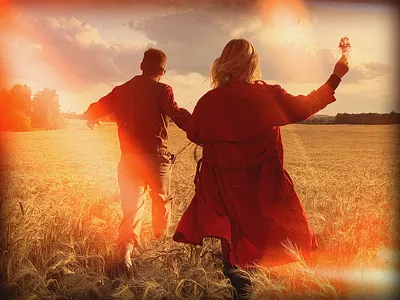 Light Wipe branding graphic design pixflow