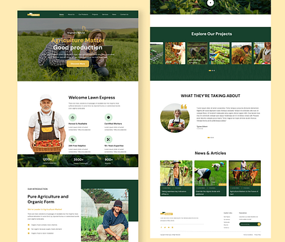 agriculture consultant landing page agriculture agritech cleandesign ecodesign ecofriendly environmentaldesign farmconsulting farmdesign farmingwebsite greenui landingpage minimalistweb modernagriculture natureinspired organicfarming responsivedesign sustainableui uiinspiration uxuidesign webdesign