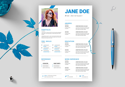 Resume Layout photoshop cv