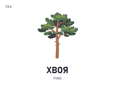 Хвóя / Pine belarus belarusian language daily flat icon illustration vector word