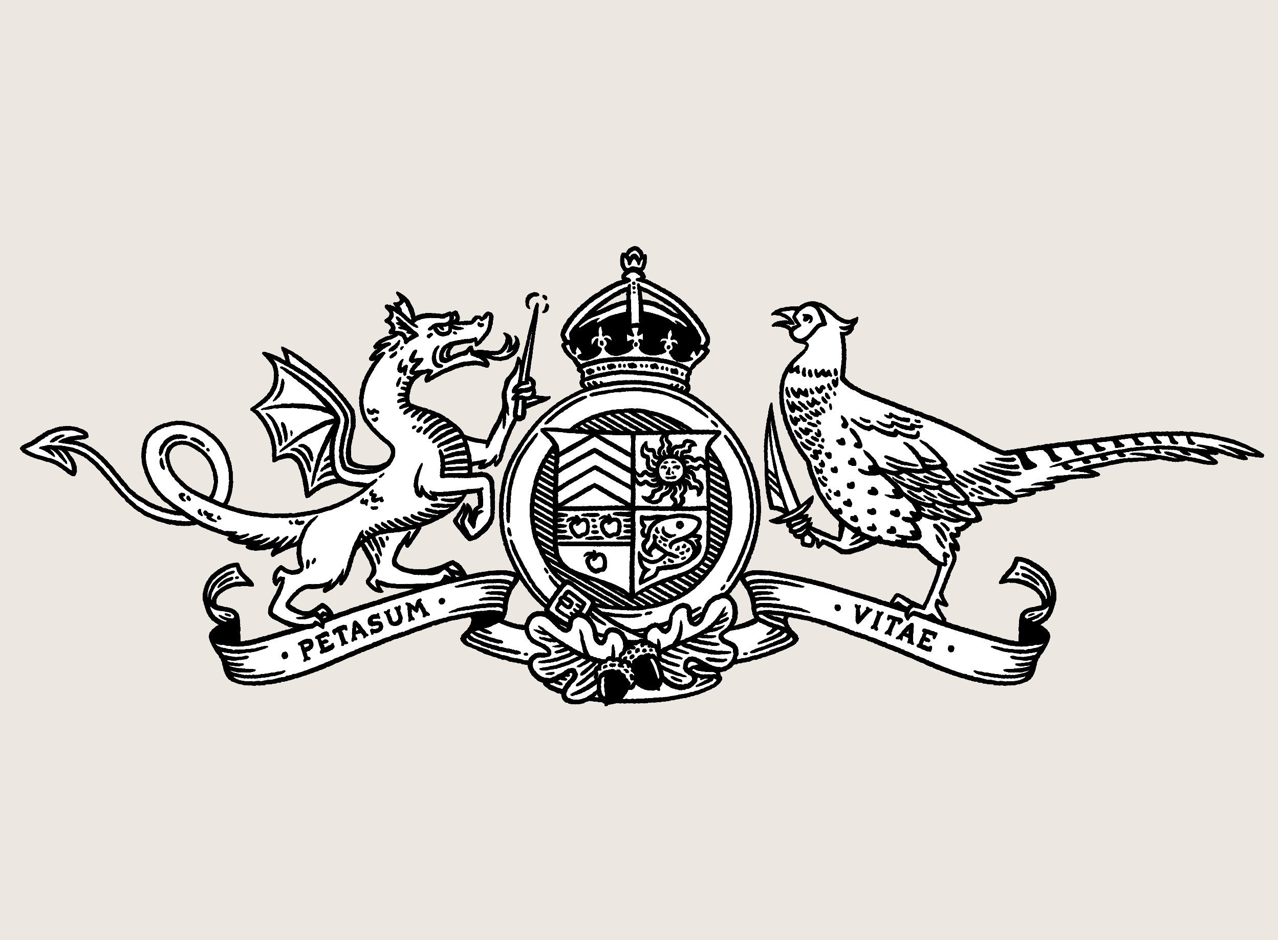 Rules for Magicals: Kingchester coat of arms animal black and white book crest crown design digital dragon fantasy government illustration ink logo narrative novel official pheasant print stamp symbol