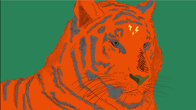 The Eye of the Tiger 2danimation enlightment framebyframe illustration procreate tiger