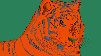 The Eye of the Tiger 2danimation enlightment framebyframe illustration procreate tiger