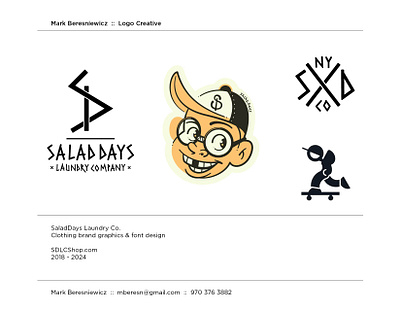 SaladDays Laundry Co. Identity branding design illustration logo