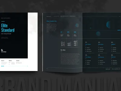 Brand Manual Template agency manual brand guideline brand manual branding brochure corporate graphic design identity user manual