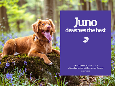 Juno Deserves the best dog food brand brand design branding design dog brand dog food brand food branding graphic design illustration logo logo design logo mark packaging packaging design pet brand pet food brand pet food branding pet food packaging typography vector