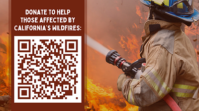 Donate to CA Wildfires Template Finch canva design finch graphic design presentation