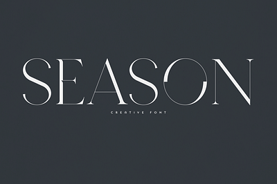 Season Font design font freebie freebies illustration template typography