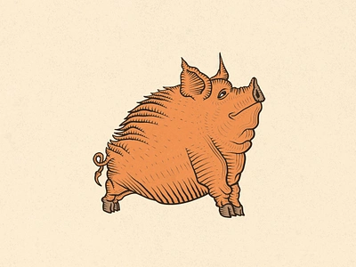 Pig (2020) boar dribbble emblem graphic illustration pig russia symbol vector