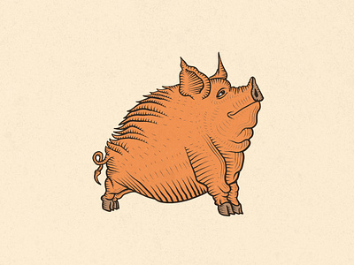 Pig (2020) boar dribbble emblem graphic illustration pig russia symbol vector