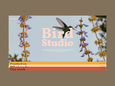 Boogie - Interactive cards homepage agency animation bird cards color creative design studio digital flower illustration nature personal portfolio portfolio retro ui