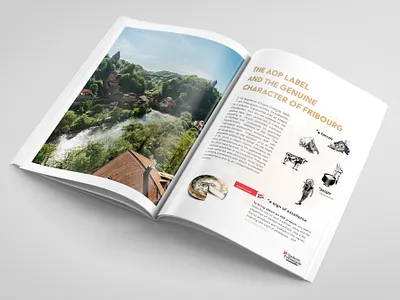 Brochure – Vacherin Fribourgeois AOP, Swiss cheese brochure cheese cmyk graphic design nordic market print design switzerland