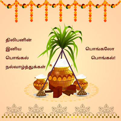 Pongal Social Media Post 3d animation branding finearts graphic design logo motion graphics ui