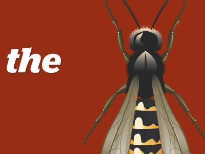 Dog and Pony darden dardenfonts dogandpony happycog jubilat keynote promote wasp webstandards