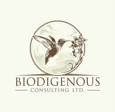 Biodigenous branding canada environmental graphic design hummingbird logo logo brand guide