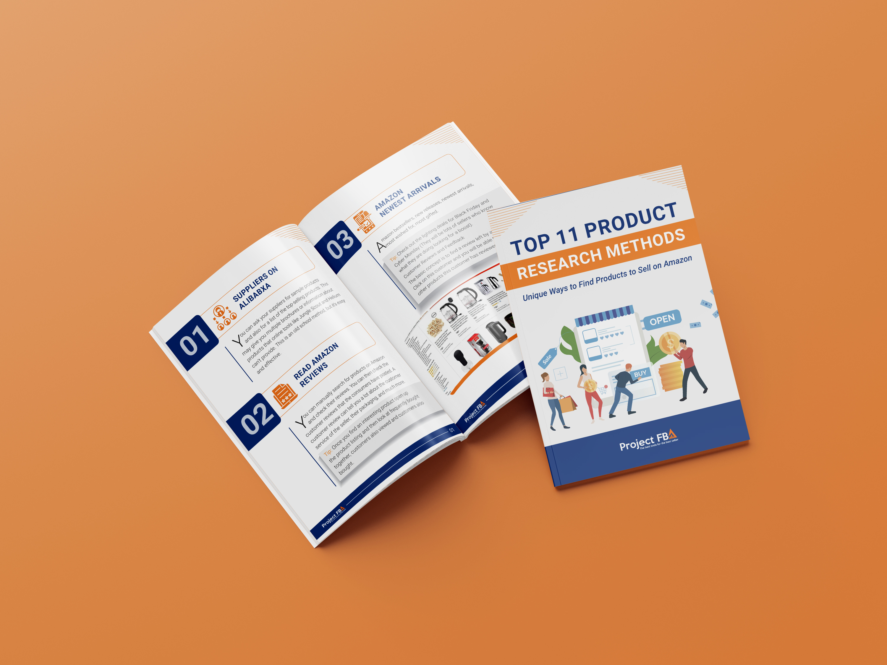 Example of Pdf Lead Magnet & Workbook Design 