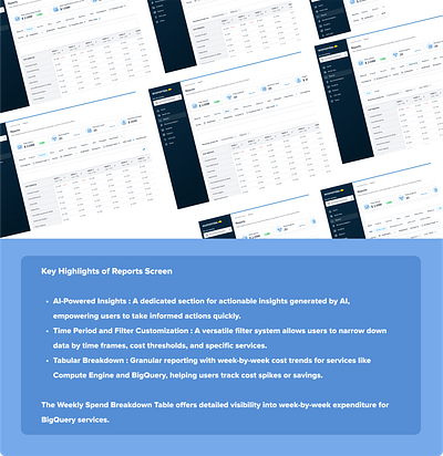 Case Study - Reports Section of Economize Dashboard aws case study cloud cloud computing cost figma reports resources saas ui