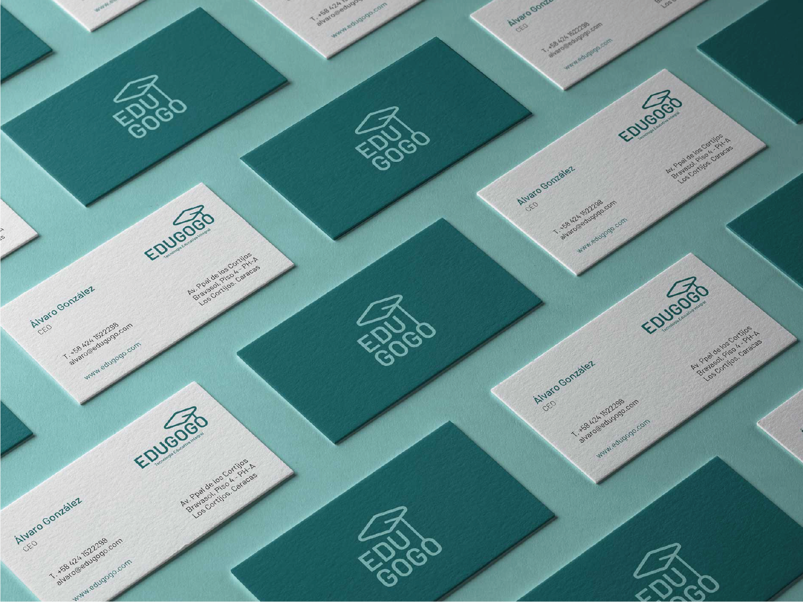 Example of Custom Branding & Logo Design + Manual