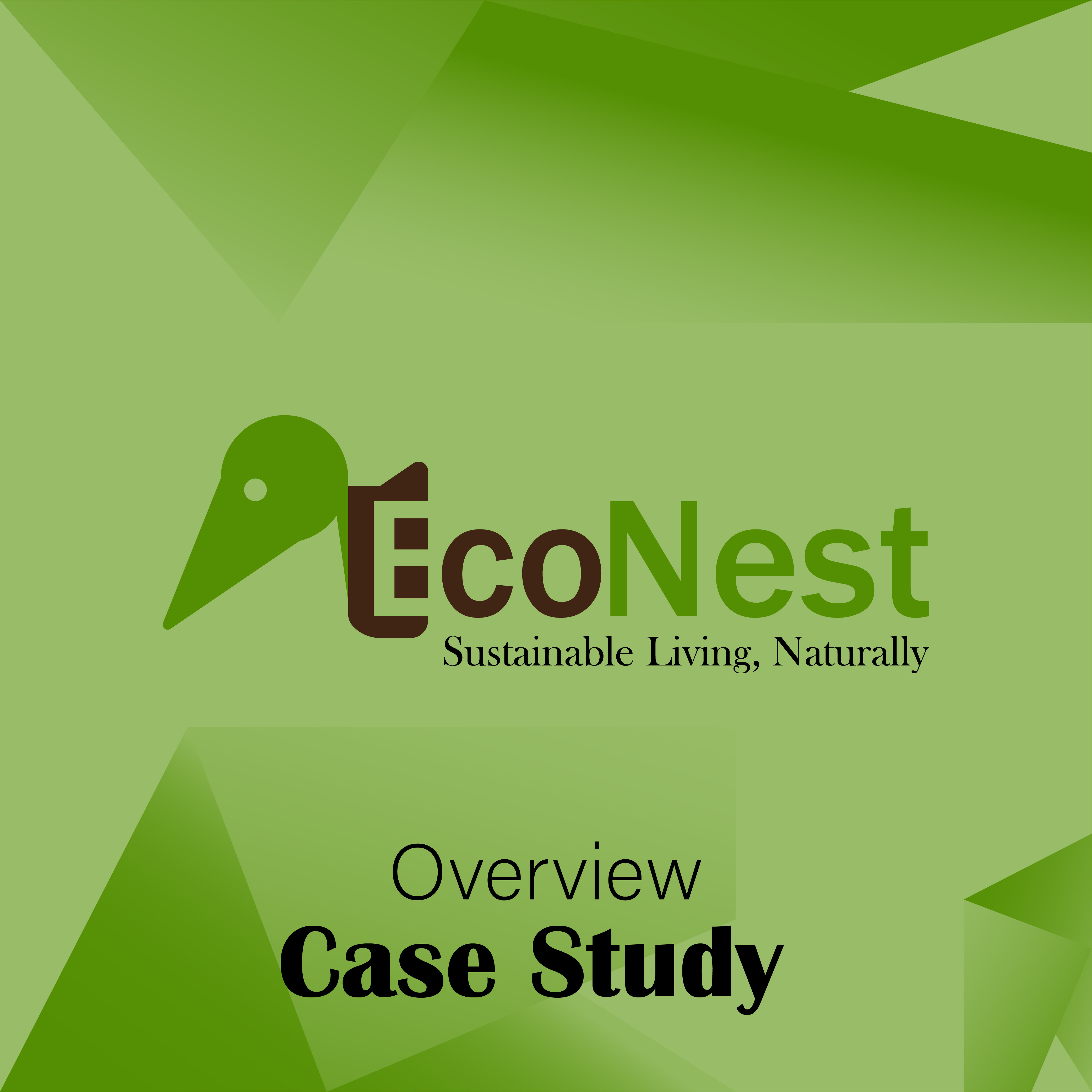 Case Study Overview: Logo Design-EcoNest branding design eco econest graphics designers logo design logo designer nest