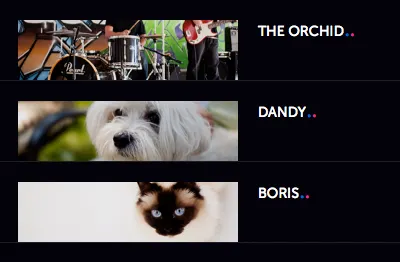 Photographs grid layout photography