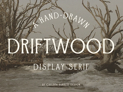 Driftwood Display Font display font display serif driftwood driftwood font font creation hand drawn font serif font