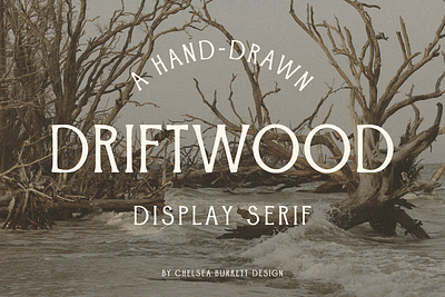 Driftwood Display Font display font display serif driftwood driftwood font font creation hand drawn font serif font