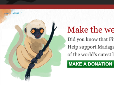 Save a Lemur beasts firefox lemur madagascar mozilla namoroka tails