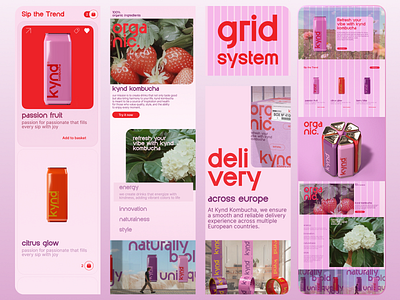 KYND Kombucha: Grid System in Action adaptive adaptive design ads advertasing branding design graphic design grid system grids illustration logo marketing responsible typography ui uiux ux uxui web web design