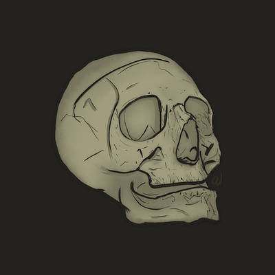 Skull Sketch drawing graphic design illustration sketch