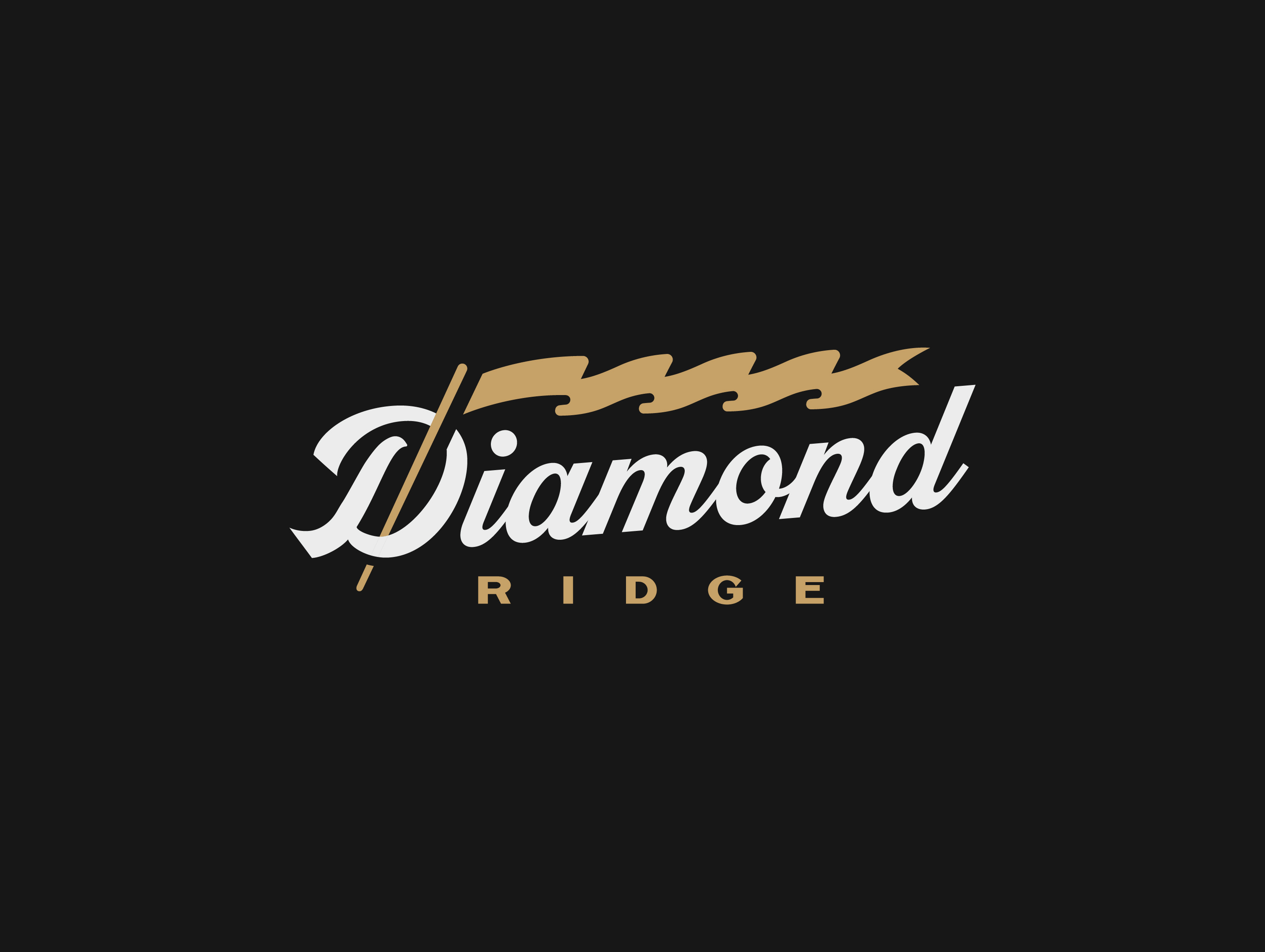 Example of Diamond Ridge Provisions Typography Logos