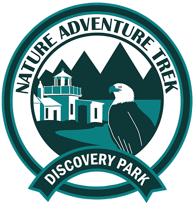 Nature Adventure Trek Logo design graphic design logo design vector