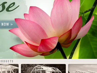 .Net Magazine | Makeover Design Work botanical bright css dot net magazine flowers fresh pastel xhtml