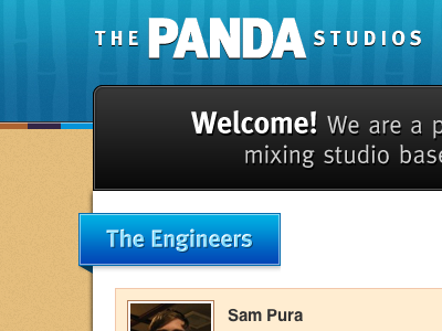 Panda blue design meta