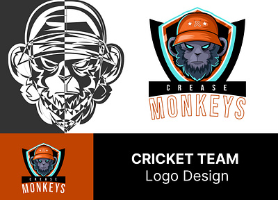 Cricket Team Logo adobe illustrator graphic design illu illustration logo