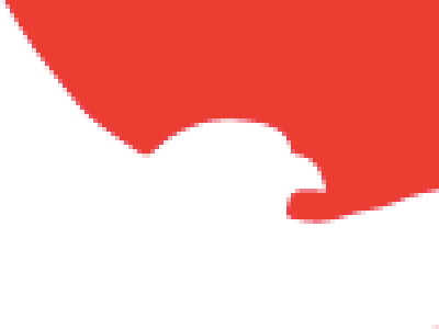 Red Head beak head pixels red seagull white zoom