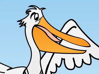 Bird Illustration bird illustration illustrator