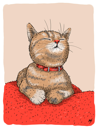 A Cat (in my style) drawing illustration photoshop